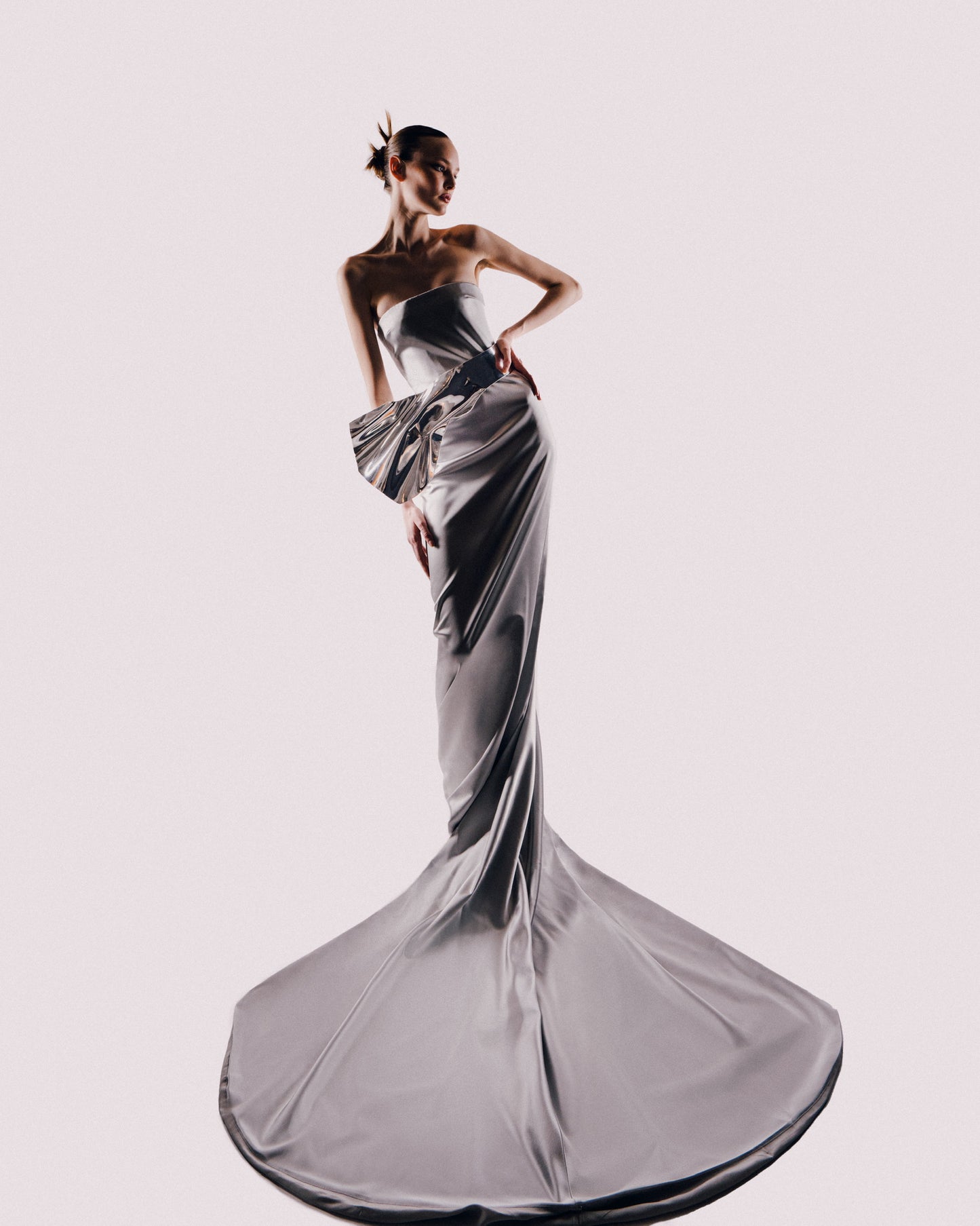 Silver Fitted Column Gown